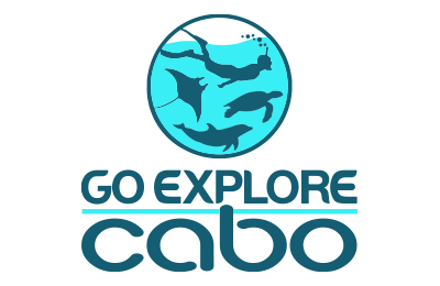 go_explore_cabo